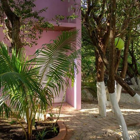 Casa Rosse Villa Tulum Ngoại thất bức ảnh